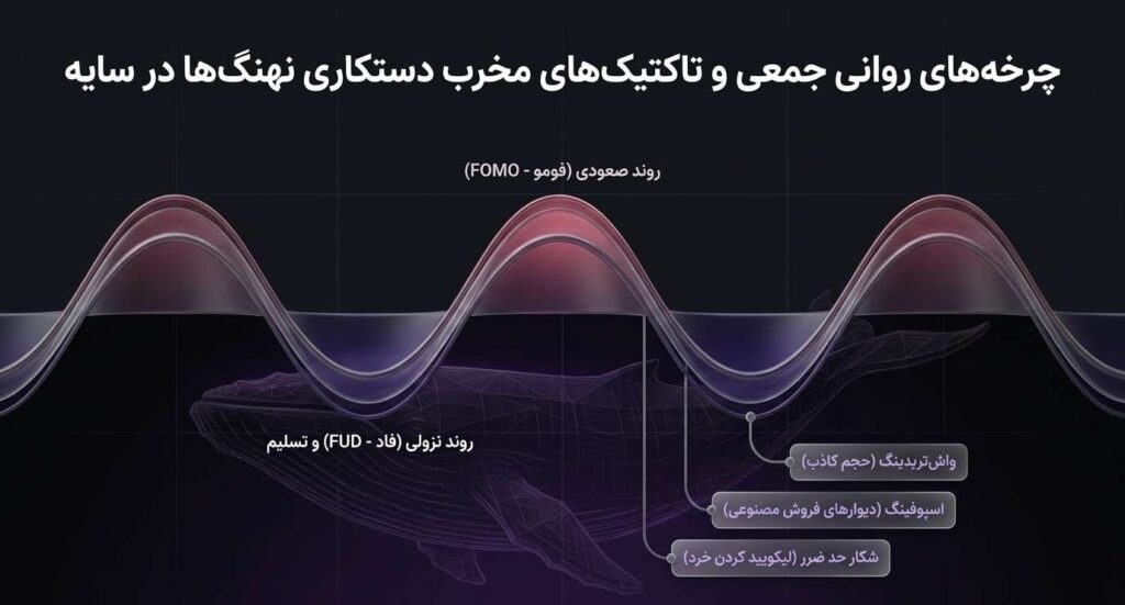 ریزساختارهای معاملاتی، دستکاری بازار و رفتار نهنگ‌ها