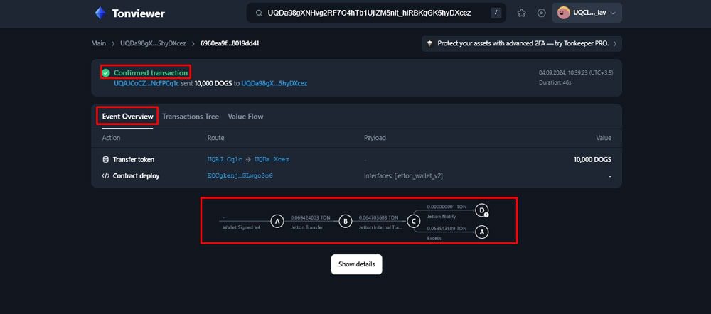 بررسی جزئیات تراکنش‌ها در Tonviewer