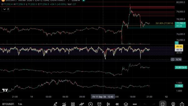 نمودار تحلیل بیت کوین — لگ یا درایو سوم rsi ک تو تحلیل قبل منتظرش بودم btc